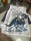 Conjunto brandili