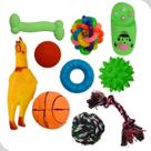 Conjunto brinquedos de morder pet 10 formatos sortidos