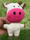 Conjunto Brinquedos Pet Mordedores Cordas e Pelúcias Com Apito