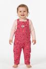 Conjunto C/Jardineira Moletom Estampada Coelinhas Elian