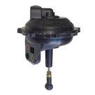 Conjunto Capsula 519790 Gol Motor 1.6 Alc gas (carburador Tldz) voyage Lc519790 Conjunto Capsula 519790 Gol Motor 1.6 Alc gas (carburador Tldz) voyage Lc519790