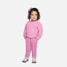 Conjunto Casaco Moletom Bordado Flor E Calça Molecotton Infantil Menina Have Fun 29428 Rosa