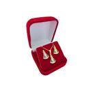 Conjunto Colar+Brinco N.Senhora Aparecida Banho Ouro 18k