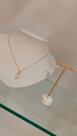 Conjunto colar e brinco