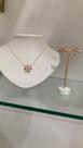 Conjunto colar e brinco