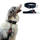 Conjunto Coleira + Guia para Cachorro - Pontilhado - Canadá K9