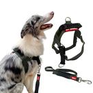 Conjunto Coleira Peitoral Anti-puxão M + Guia - Canadá K9 Conjunto Coleira Peitoral Anti-puxão M + Guia - Canadá K9