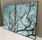Conjunto com 2 quadros decorativos galhos secos e céu azul.