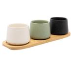 Conjunto com 3 Bowls em Cerâmica e Bandeja em Bambu 31x10x7cm - Lyor