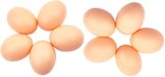 Conjunto de 10 ovos fictícios de plástico Nest Eggs Fake Whe