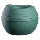 Conjunto de 10 Vasos Decorativo para Plantas Búzios Verde Escuro Conjunto de 10 Vasos Decorativo para Plantas Búzios Verde Escuro