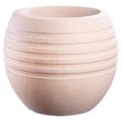 Conjunto de 10 Vasos Decorativo para Plantas Canela 34