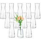 Conjunto de 12 flores pequenas Vase Hewory Glass Bud Clear