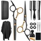 Conjunto de 15 Tesouras para Cabelo AuLiky - Aço Inoxidável
