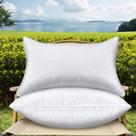 Conjunto de 2 almofadas para uso externo QSWRD 30x50cm