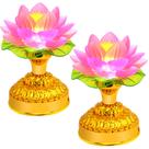 Conjunto de 2 Lâmpadas LED Flor de Lótus Fengshuibringluck com Luz Colorida