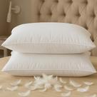 Conjunto de 2 travesseiros BHZ Down Feather Standard/Queen White