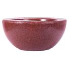 Conjunto de 20 Vasos Decorativo para Plantas Bacia Siena 12 Conjunto de 20 Vasos Decorativo para Plantas Bacia Siena 12