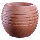 Conjunto de 20 Vasos Decorativo para Plantas Canela 34