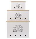 Conjunto de 3 latas de armazenamento de cozinha para batata, cebola e alho branco