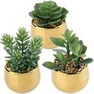 Conjunto de 3 suculentas artificiais da Briful with Gold Pots