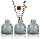 Conjunto de 3 vasos pequenos para peças centrais - vaso de vidro transparente para decoração de casa de fazenda, mini vaso de flores de casamento para escritório doméstico, sala de estar, decoração de prateleira de mesa de jantar, presente de plan