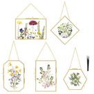 Conjunto de 5 molduras de flores prensadas FOCHIER F com pinça dourada