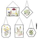 Conjunto de 5 molduras de flores prensadas FOCHIER F com pinça preta