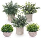 Conjunto de 5 Plantas Artificiais Mini Eucalipto Lemonfilter