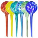 Conjunto de 6 globos de rega para plantas 200 ml Mission Gallery