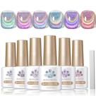 Conjunto de 6 peças com esmalte de gel Born Pretty Magnetic Holographic