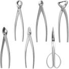Conjunto de 6 Peças de Ferramentas para Poda de Bonsai, 6 Tipos Diferentes de Tesouras para Atender Todas as Necessidades do Processo de Uso, para Poda e Modelagem de Plantas, Libere suas Mãos e Facilite o Trabalho