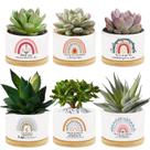 Conjunto de 6 Vasos de Cerâmica para Suculentas Tarklanda Arco-Íris