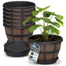 Conjunto de 6 vasos estilo barril de uísque Lifemaster 10" Conjunto de 6 vasos estilo barril de uísque Lifemaster 10"