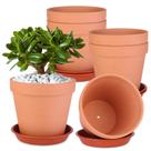 Conjunto de 6 vasos para plantas Tuqaumu 15 cm terracota com prato