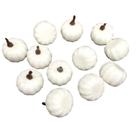 Conjunto de abóboras artificiais Simulation Foam Mini Pumpkin x12