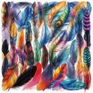 Conjunto de adesivos de 50 peças de decalques PET transparentes de penas coloridas