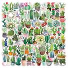 Conjunto de adesivos Green Cactus Plant Cartoon PVC impermeável x100