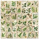 Conjunto de adesivos: planta herbácea verde, flor em aquarela, 50 unidades