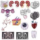 Conjunto de alfinetes de broche: anatomia humana, coração, rim, cérebro, pulmão