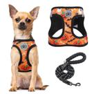 Conjunto de arnês e coleira BEAUTYZOO Step in Floral para cães de médio porte