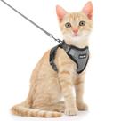 Conjunto de arnês e coleira Cat Dooradar Escape Proof para Cat XS Conjunto de arnês e coleira Cat Dooradar Escape Proof para Cat XS