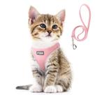 Conjunto de arnês e coleira Fida para passear com cães e gatos rosa XXXS