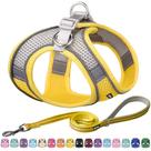 Conjunto de arnês e coleira para cães Aiitle Easy Walk para cães de médio porte