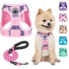 Conjunto de arnês e coleira para cães BEAUTYZOO Step in No Pull para cães pequenos
