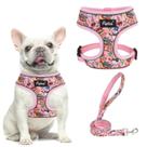 Conjunto de arnês e coleira para cães, colete confortável de malha macia PUPTECK