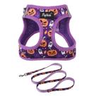 Conjunto de arnês e coleira para cães PUPTECK para cães pequenos e médios