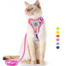 Conjunto de arnês e coleira para gatos, colete super estiloso à prova de fuga