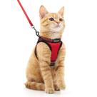 Conjunto de arnês e coleira para gatos rabbitgoo Walking Escape Proof Red