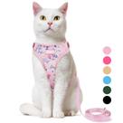 Conjunto de arnês e coleira para gatos Supet Escape Proof para caminhar